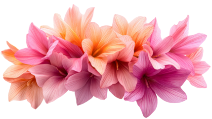 A vibrant arrangement of pink and peach flowers exhibits natural beauty isolated on transparency PNG background, ideal for use in floral design projects, seasonal marketing