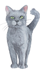 kitti Kat