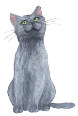 kitti Kat