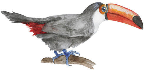 Tukan