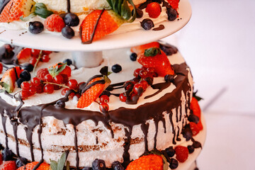 Wedding Cake with Chocolate and Strawberries