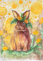 Bunny