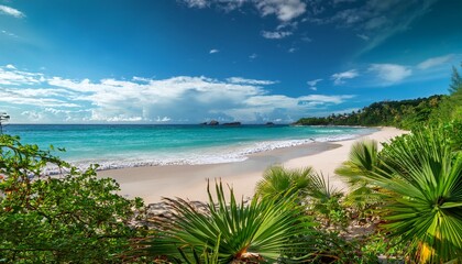 Fototapeta premium serene coastal landscape features gentle waves lapping at the shore exotic plants framing the sandy beach and lush greenery in the background under a vibrant sky