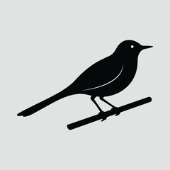 Silhouette bird perched on branch small songbird vector illustration