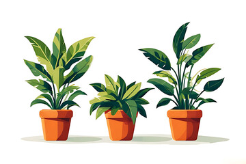 Obraz premium Collection of Potted Tropical Plants Illustration