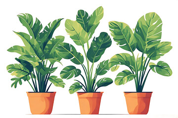 Obraz premium Collection of Potted Tropical Plants Illustration