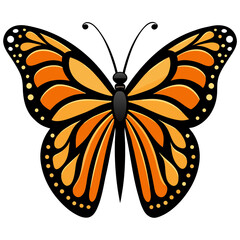 butterfly vector illustration