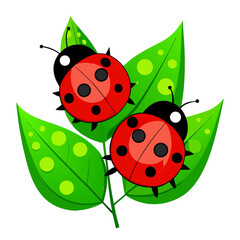 ladybug on green leaf