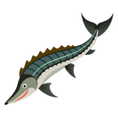 vector illustration of a fish sturgeon
