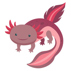 axolotl vector