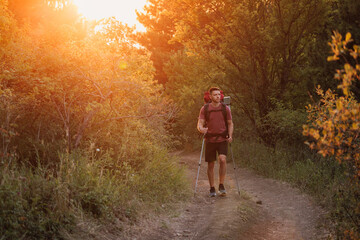 Hiker trekking through forest path with backpack and poles at warm sunset. Active lifestyle and adventure hiking concept.