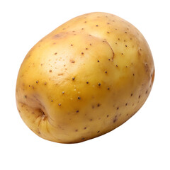 Fresh Whole Potato Isolated on White Background