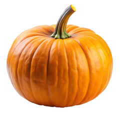 Fresh Whole Pumpkin Isolated on White Background