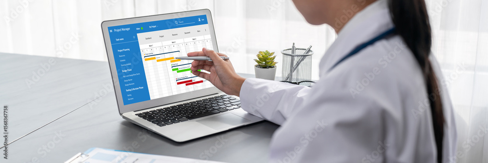 Poster project planning software for brisk business project management on the computer screen showing timel