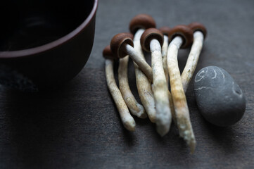 Fototapeta premium Psilocybin Spiritual Journey in Nature