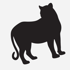 silhouette tiger on the white background 