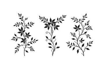 Elegant black silhouette botanical flourishes with delicate leaves