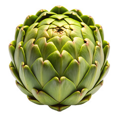 Artichoke Heart Isolated on White Background