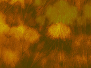 Golden Abstract Artistic. Multi Shape Kids. Fire © Olga