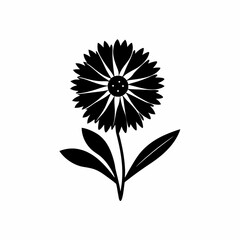 creative details Gaillardia Blanket Flower Icon vector illustration