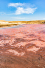 View of the pink salt lagoon set against the desert dunes in Paracas National Reserve, Peru.