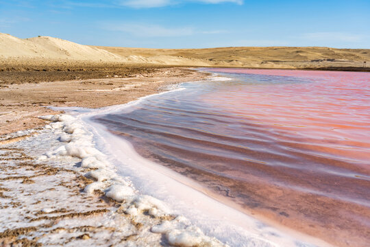 View of the pink salt lagoon set against the desert dunes in Paracas National Reserve, Peru.