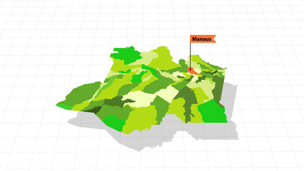 Amazonas 3D perspective vector map Brazil