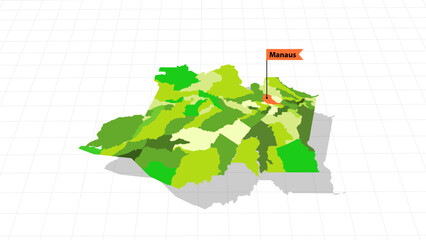 Amazonas 3D perspective vector map Brazil