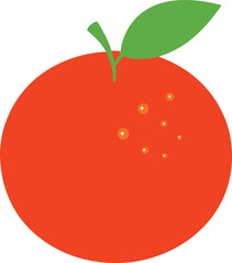 vector illustration of an orange 
