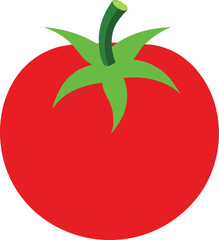 tomato vector illustration