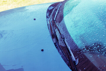 Car washing with high-pressure water spray at an outdoor facility on a sunny day