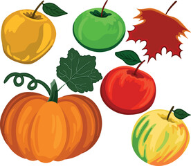 Autumn Set of apples, a pumpkn and a leaf