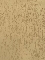 Close-up of a textured wall with a stucco finish.