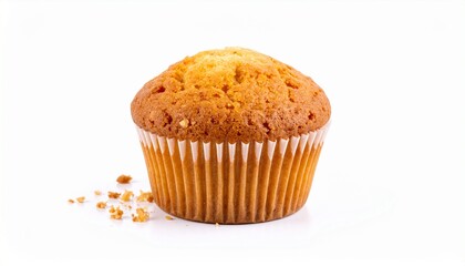 chocolate muffin on white background