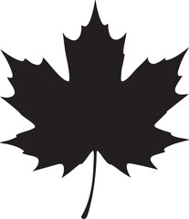 Bold Black Silhouette Maple Leaf; Simple, Elegant Autumn Design; Isolated on White Background.