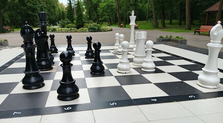 chess pieces on a chessboard
