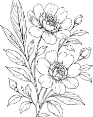 Elegant hand-drawn black and white peony bouquet illustration; delicate floral design, romantic mood, botanical art style.