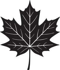 Naklejka premium Bold Black Silhouette Maple Leaf: Autumnal Design Element, Simple Nature Icon, Vector Graphic Illustration.