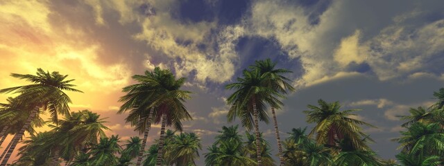 Sunset among palm trees, palm trees and sky, 3D rendering