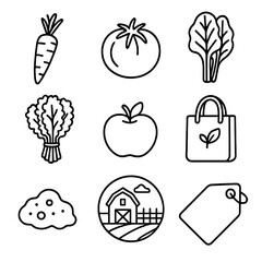 Organic Produce Icons. Line style icons of Organic Produce Bins: organic carrot, heirloom tomato, rainbow chard, kale bunch,