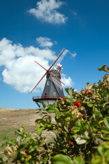 The Windmill of Sønderho in Denmark on a Dry Summer Meadow, with Flowers in the Foreground Adding Depth and a Bright Seasonal Sky in the Background