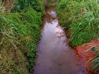 Clean community River in Kumasi, Ghana, flowing in between green long grass. World environment day.