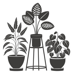 Stylish Monochrome Houseplants: Three potted plants on a plant stand, minimalist design, modern home decor.