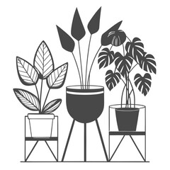 Stylish Mid-Century Modern Houseplants in Black and White Line Art Illustration