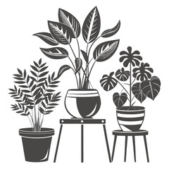 Stylish Monochrome Houseplants on Minimalist Stands:  Modern Home Decor Illustration