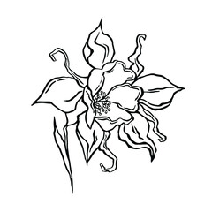 flower art vector for outline decor coloring