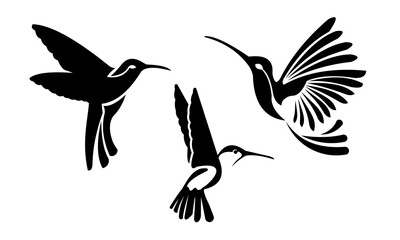 beautiful hummingbird logo.eps