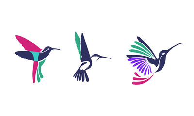 beautiful colorful hummingbir...