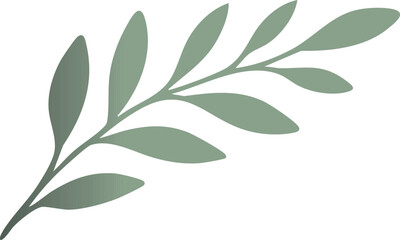 A simple flat illustration of a muted green botanical branch with stylized oval leaves on a black background.
