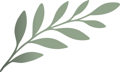 A simple flat illustration of a muted green botanical branch with stylized oval leaves on a black background.